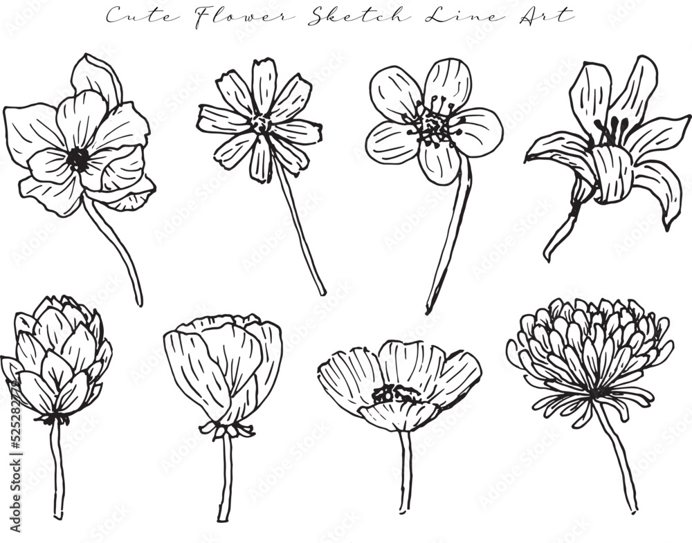 set of cute wild flower sketch
