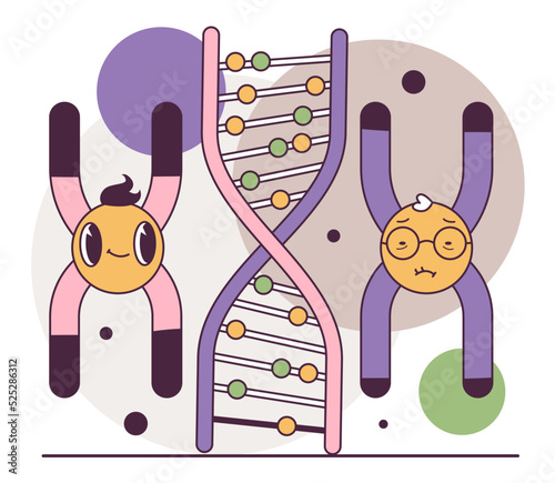 Human telomeres shortening. Cellular level of aging. Time-dependent