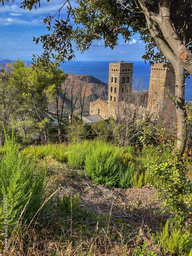 Fototapeta premium ruins of the castle
