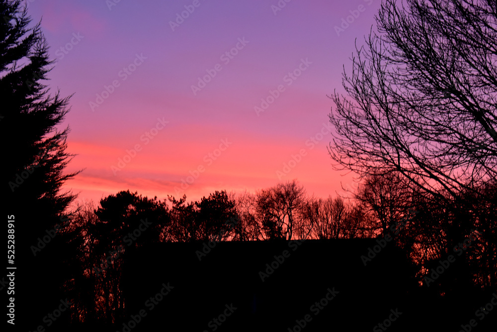 Fototapeta premium Picturesque view of a beautiful bright sunset with the colorful sky of purple, orange, red, and yellow over tree silhouettes surrounding a house silhouette.