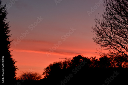 Dramatic sky with the blue and orange light of sunset over tree silhouettes.