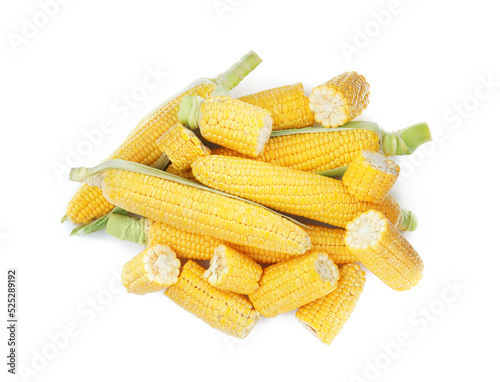 Fresh corncobs with husks on white background, top view