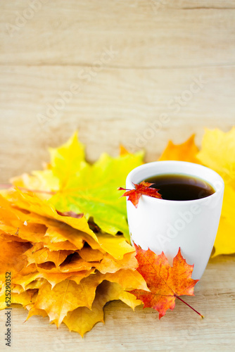 White cup of tea and autumn maple leaves on wooden background. The concept of calm, relaxation and autumn. Autumn vertical background