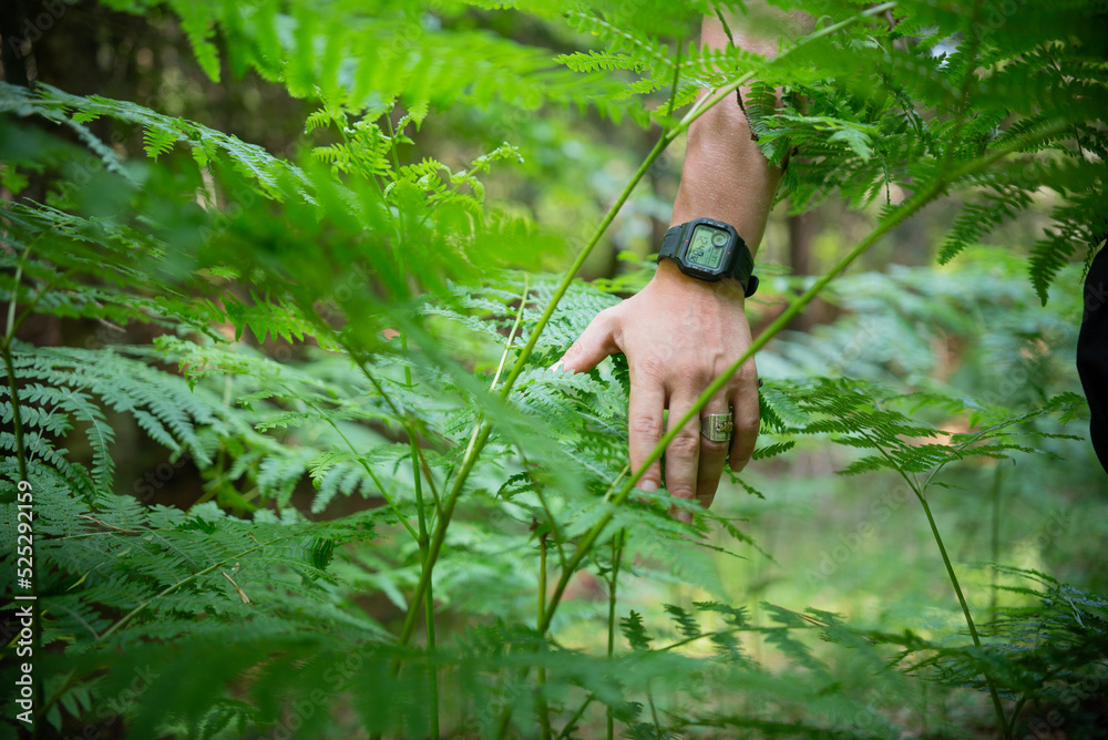 hand with clock in the forest