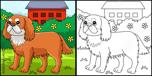 King Charles Spaniel Dog Coloring Illustration