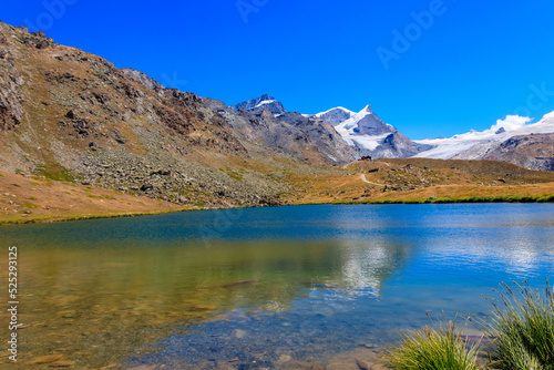 View of Stelli Lake  Stellisee  and Swiss Alps at summer in Zermatt  Switzerland