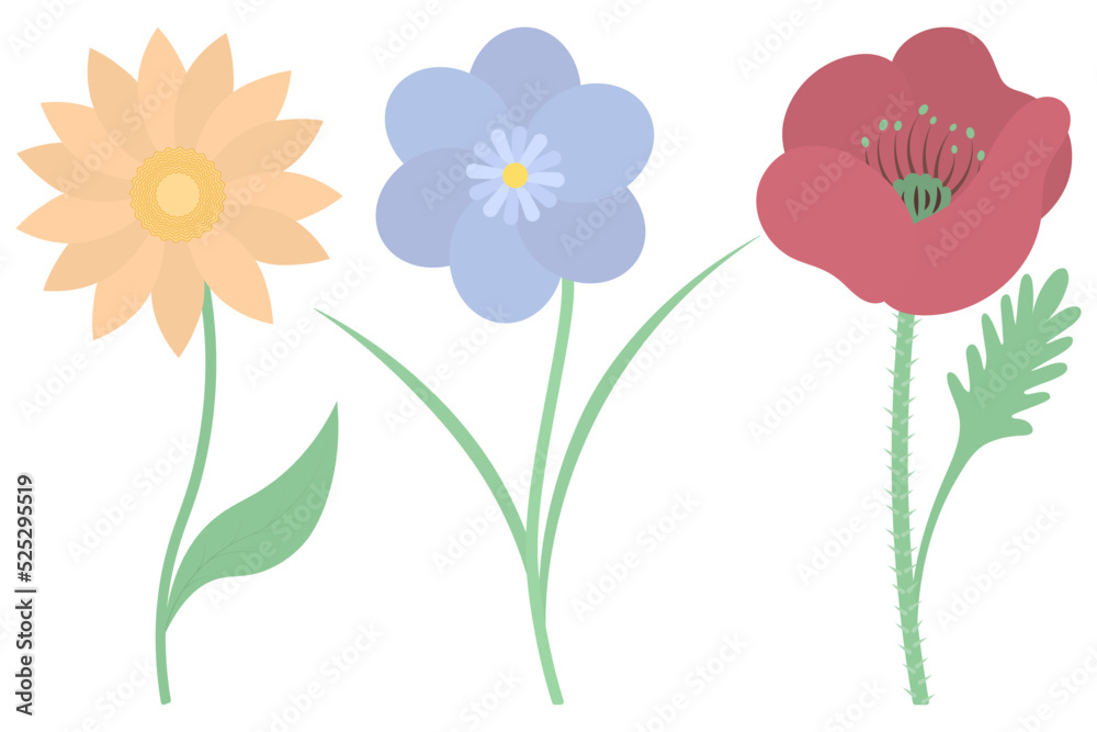 Flowers. Set of vector illustrations. Gerbera, violet, poppy. Delicate plants with green leaves. Flowering plants with a yellow heart. Flat style. Isolated background. Idea for web design, invitations