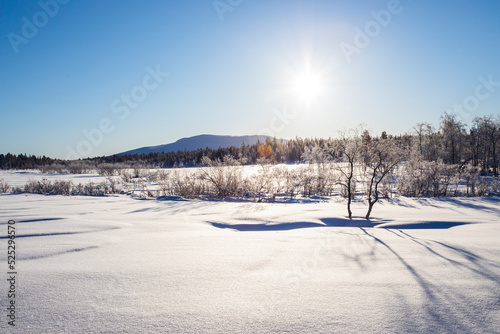 Fototapeta Naklejka Na Ścianę i Meble -  Winter landscape in Pallas Yllastunturi National Park, Lapland, Finland