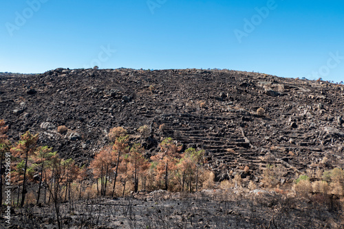 Restos de incêndio sobre um monte com tudo queimada à sua volta photo