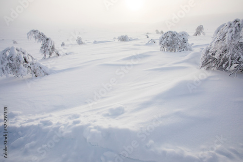 Winter landscape in Pallas Yllastunturi National Park, Lapland, Finland