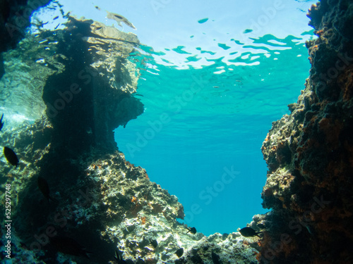 Rocky bottom in clear waters of Mediterranean Sea. Greece coast. Water surface.