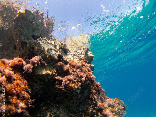 Rocky bottom in clear waters of Mediterranean Sea. Greece coast. Water surface.