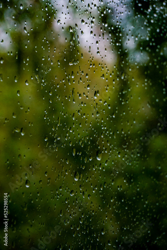 drops on the window © Алексей Рязанов