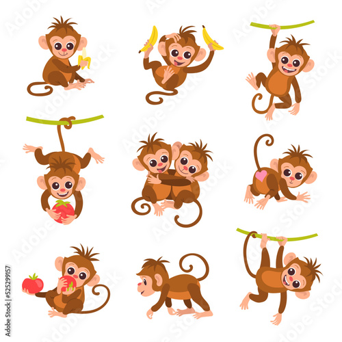 Cute exotic monkey characters. Cartoon funny primates. Different poses. Tropical animal hanging on vines. Isolated marmoset playing or eating fruit. Rainforest fauna. Splendid vector set