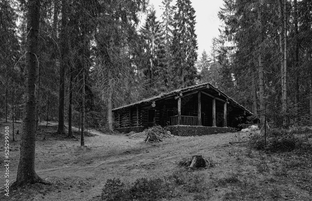 Obraz premium Small wooden cottage in a dark pine forest