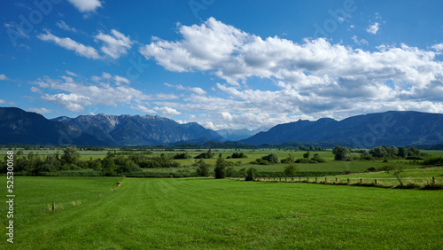 Murnauer Moos

Das wunderschöne Bayern in prächtigem weiß-blauen Sommerwetter. photo