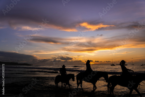 Horses and sunset