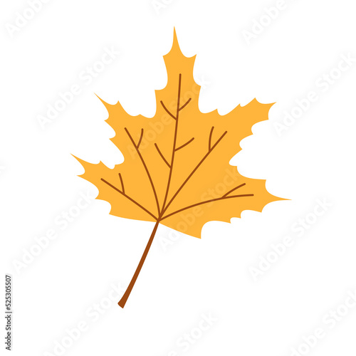 Vector autumn leaf. Fall yellow maple leaf. Gold foliage. Autumn maple tree.