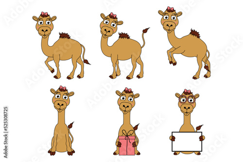 cute camel animal cartoon graphic