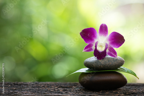 Zen stones and pink orchid flower on bokeh nature background.