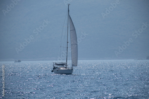 Sailing Yachts on Horizon...