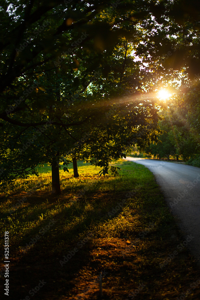 Obraz premium Autumn Colors in the Savsat, Artvin Turkey
