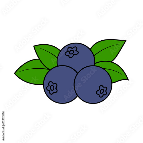 Blueberry vector icon. Blueberry berries with leaves.