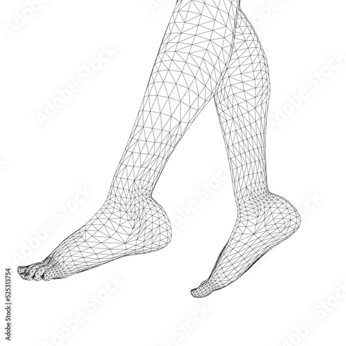 Wireframe of female legs isolated on white background. 3D. Vector illustration.