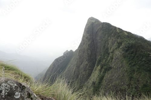 landscape in the morning