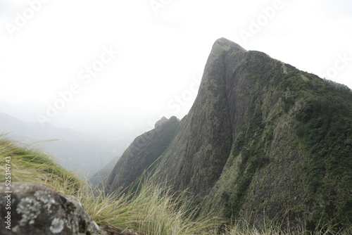 landscape in the morning, A beautiful view of the highest tea garden in the world.