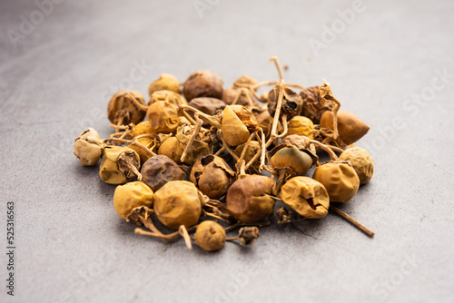 Ayurvedic Choti Kateli also known as Kantkari or Solanum Surattense dried and powder form photo