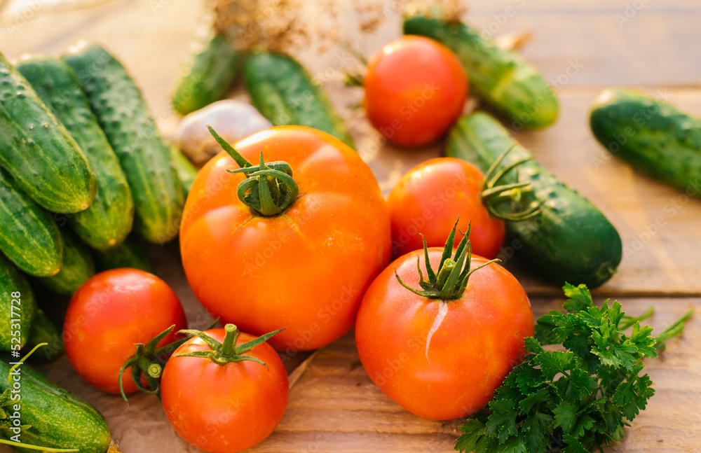 Fresh vegetables on a wooden background. Cucumbers, tomatoes, garlic, dill. Contoured sunlight. Organic farm. Organic vegetables. Summer harvest.