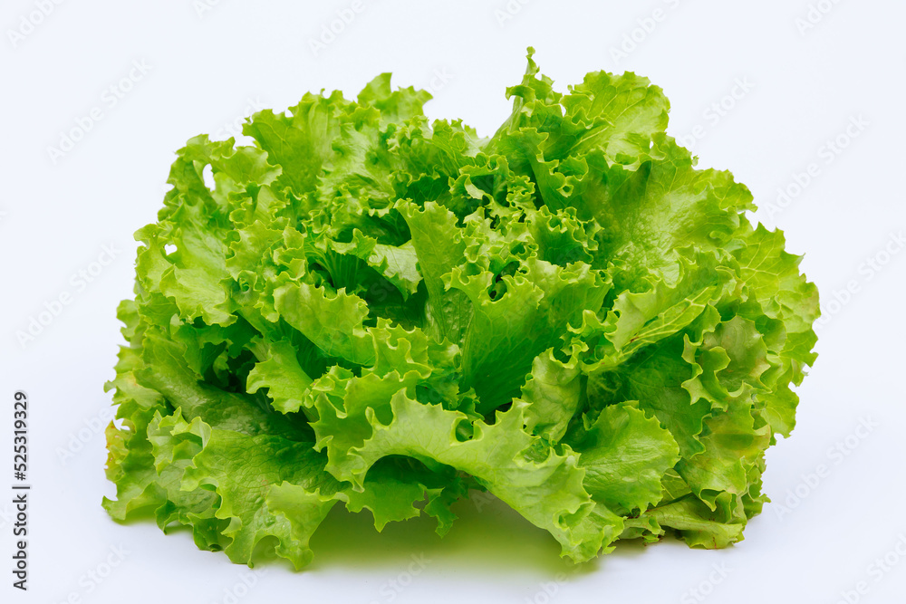 Lettuce leaves on a white background close up. Lettuce leaves on a white background close up.