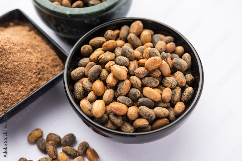 Jamalgota or Jayapala - Croton tiglium seed is an Ayurvedic medicine also known as purging croton Jamalgota or Jayapala - Croton tiglium seed is an Ayurvedic medicine also known as purging croton