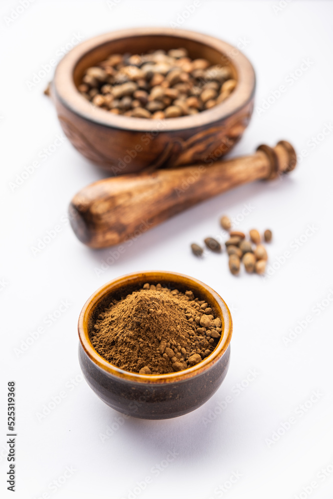 Jamalgota or Jayapala - Croton tiglium seed is an Ayurvedic medicine also known as purging croton Jamalgota or Jayapala - Croton tiglium seed is an Ayurvedic medicine also known as purging croton