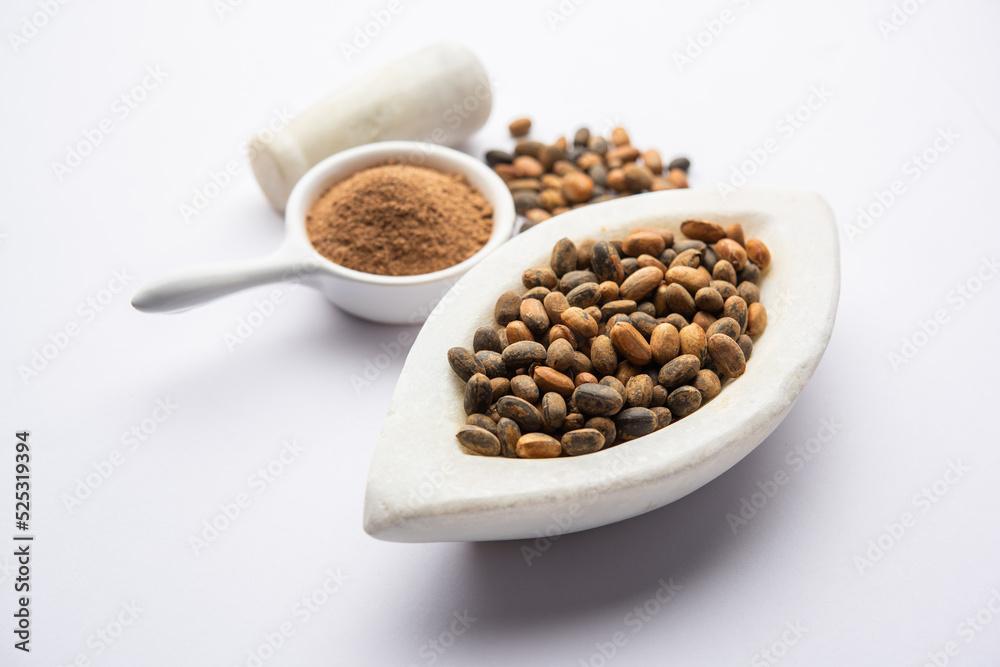 Jamalgota or Jayapala - Croton tiglium seed is an Ayurvedic medicine also known as purging croton Jamalgota or Jayapala - Croton tiglium seed is an Ayurvedic medicine also known as purging croton