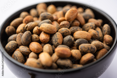 Foto Jamalgota or Jayapala - Croton tiglium seed is an Ayurvedic medicine also known