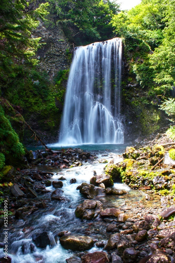 Fototapeta premium waterfall in the woods