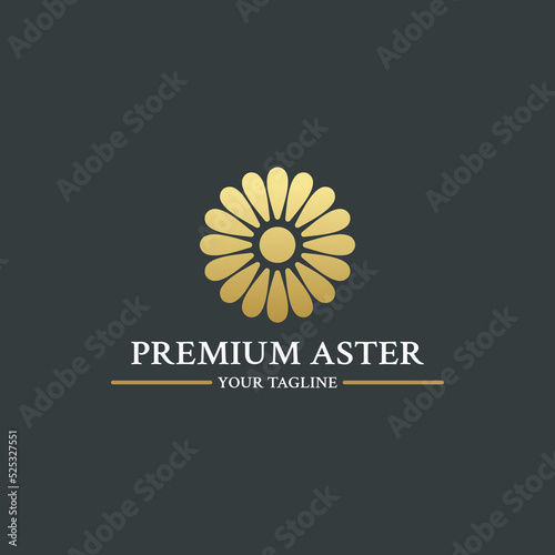 Aster Flower Logo For Company or Product Symbol Design About Daisies