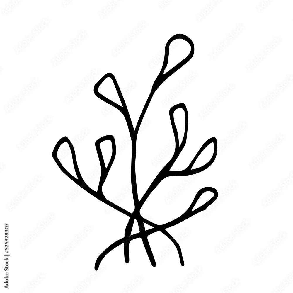 Vector illustration of a wild shrub. Line Art Botanical Vector illustration of a wild shrub. Line Art Botanical