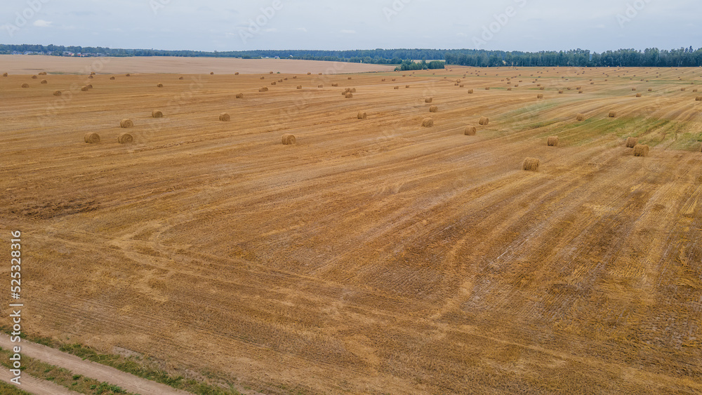 Aerial view of hay bales on the field after harvest. Landscape of straw bales on agricultural field. Countryside landscape. Aerial view of hay bales on the field after harvest. Landscape of straw bales on agricultural field. Countryside landscape.