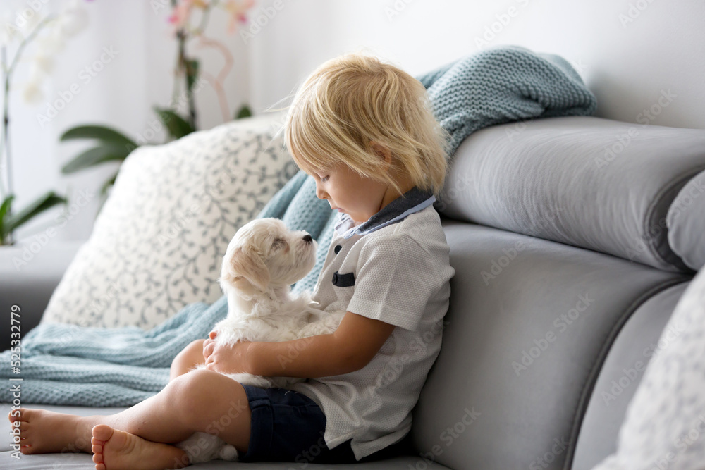 Cute little blond child, toddler boy, playing with white puppy maltese dog