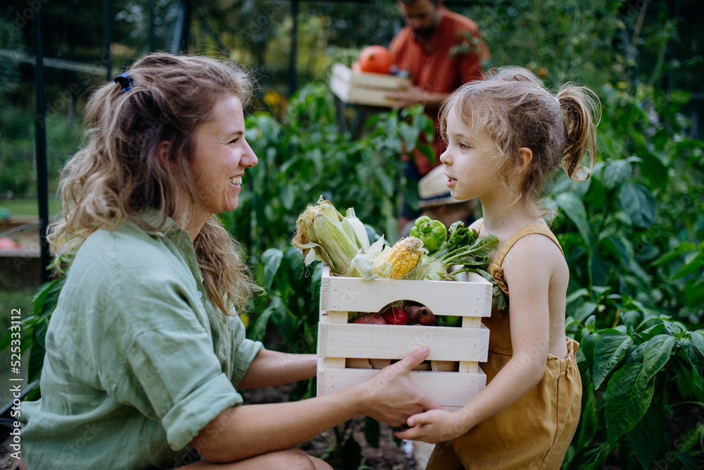 Fototapeta premium Farmer family with fresh harvest standing in a greenhouse