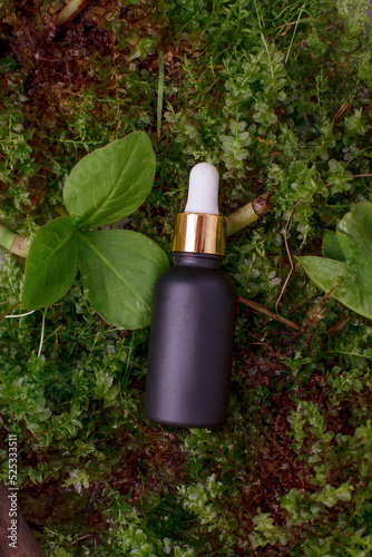 Serum, oil, lotion in brown dropper bottle in front, tropical fresh green leaves, bathroom. Spa product. Organic, bio, natural cosmetic. Beauty, skincare concept, banner, flyer for beauty salon