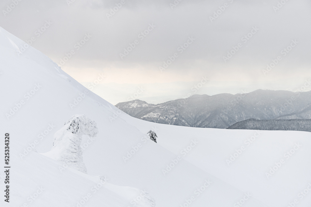 beautiful view of the mountain slope covered with white snow and landscape in the background