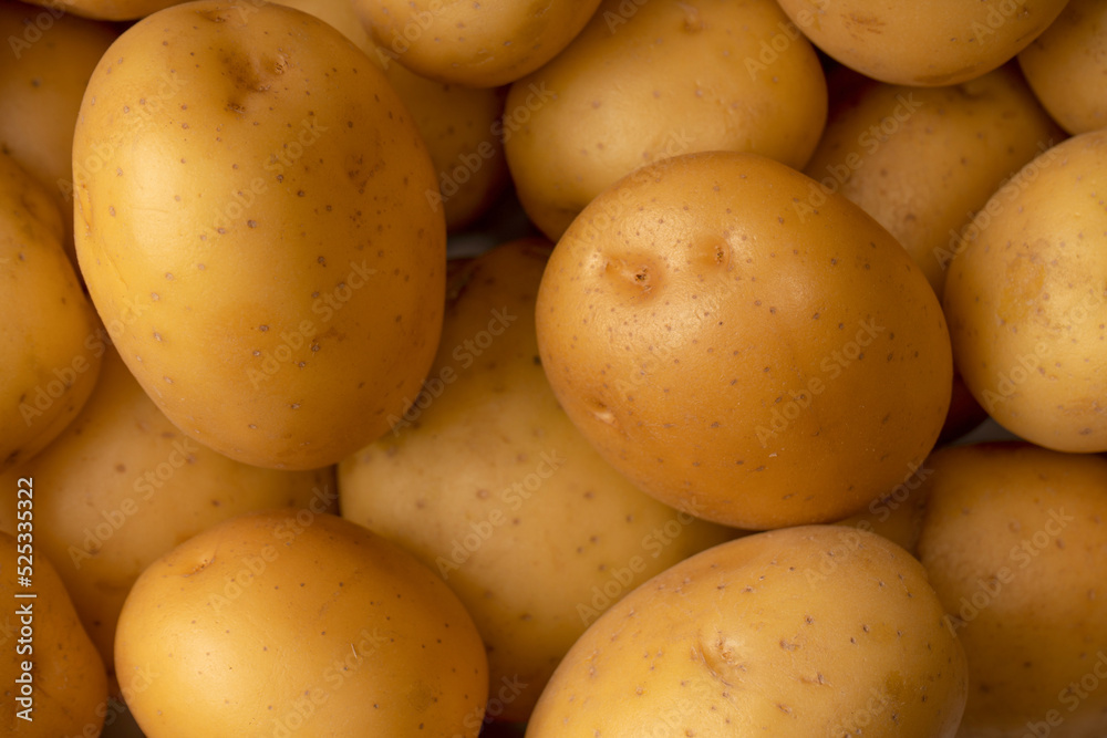 A group of fresh tasty potato as background. A group of fresh tasty potato as background.