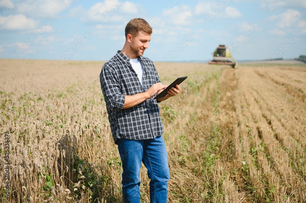 Farmer Standing In Wheat Field At Harvest Farmer Standing In Wheat Field At Harvest