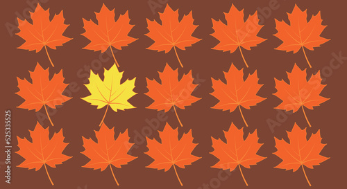 autumn Maple leaves  vector, one leaf is different from the others - abstract vision be different, unique personality or standing out from the crowd, leadership quality