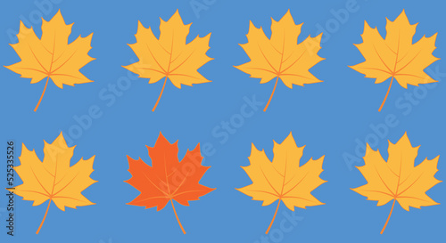 autumn Maple leaves  vector, one leaf is different from the others - abstract vision be different, unique personality or standing out from the crowd, leadership quality