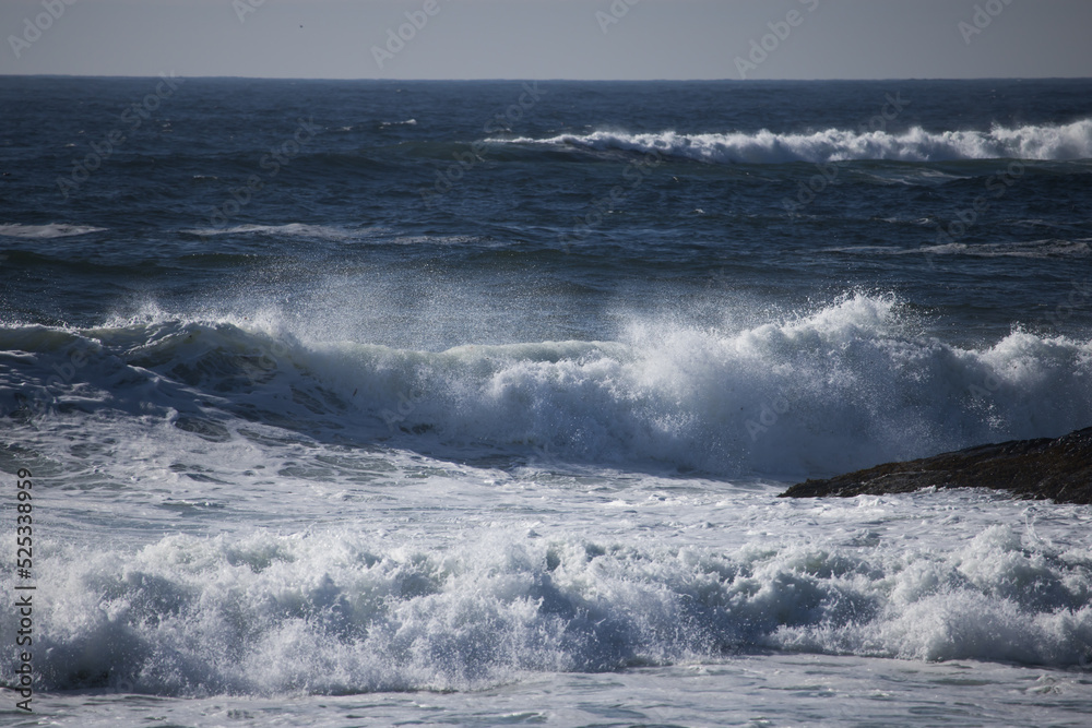 Ocean waves near the shore